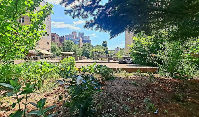 Union Street Garden and Community Development Picture 9