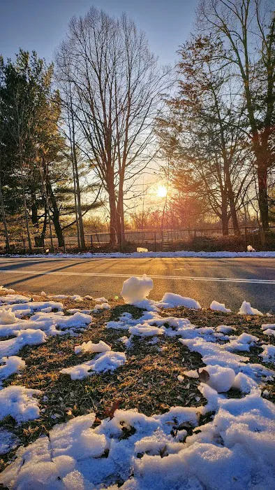 Prospect Park Picture 8