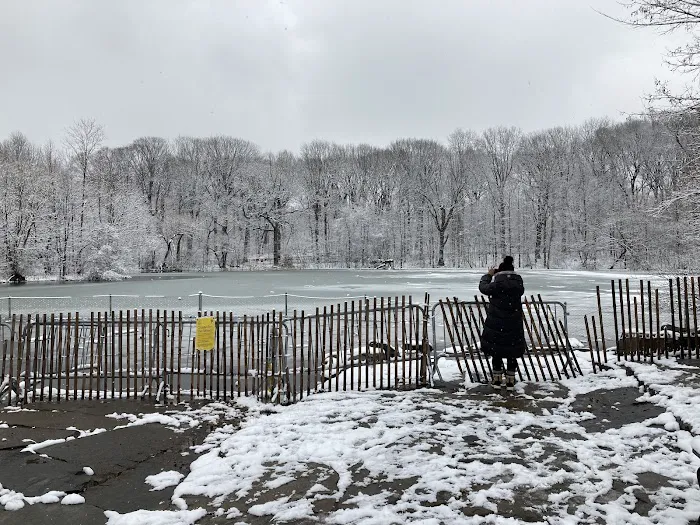 Prospect Park Dog Beach Picture 5
