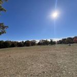 Prospect Park Dog Beach