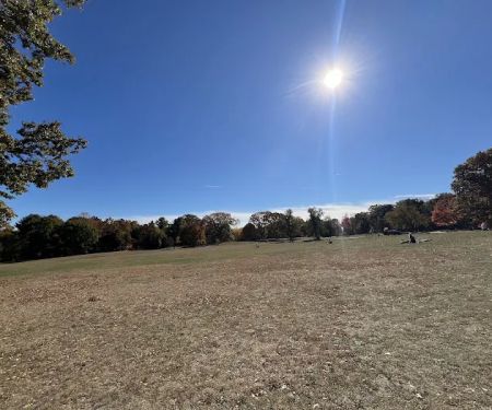 Prospect Park Dog Beach