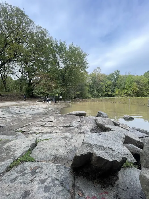 Prospect Park Dog Beach Picture 7