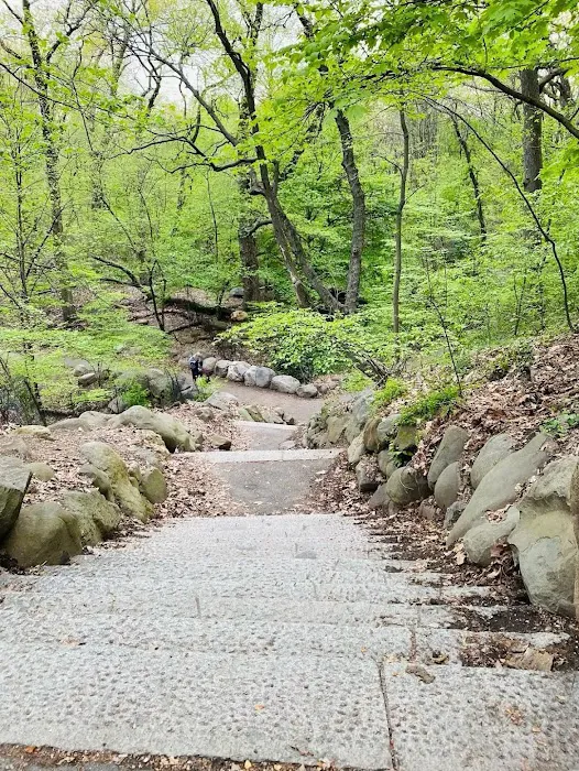 Ravine Picture 3