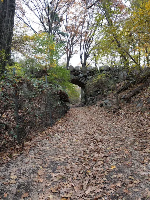 Ravine Picture 7