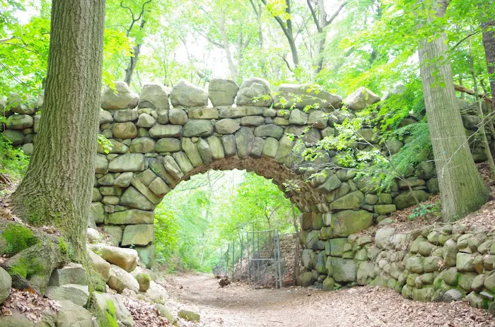 Ravine Picture 4