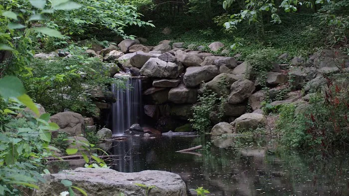 Ravine Picture 2