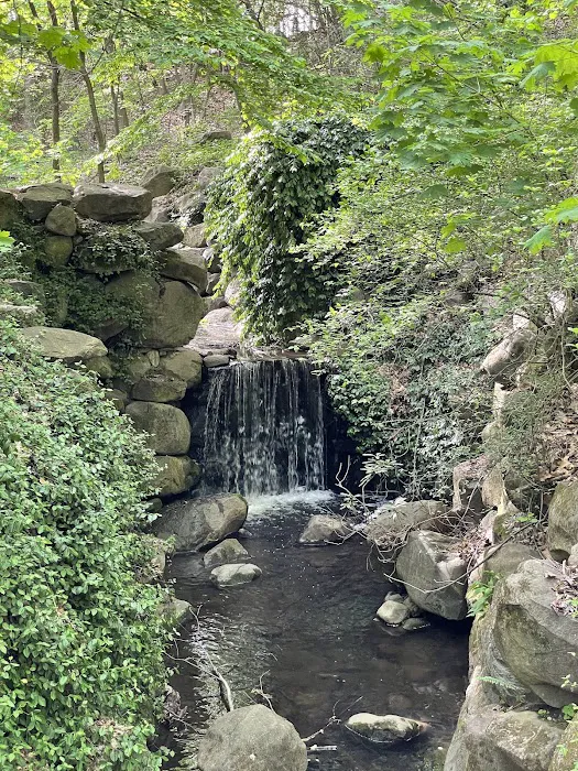 Ravine Picture 8