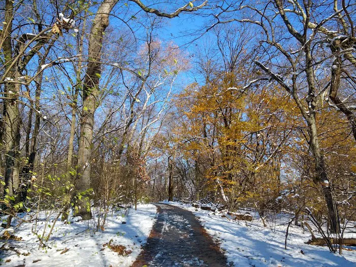 Ravine Picture 9