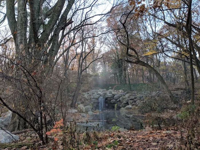 Ravine Picture 10