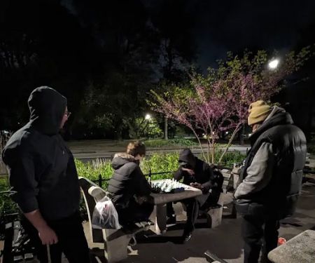 Prospect Park Chess Boards