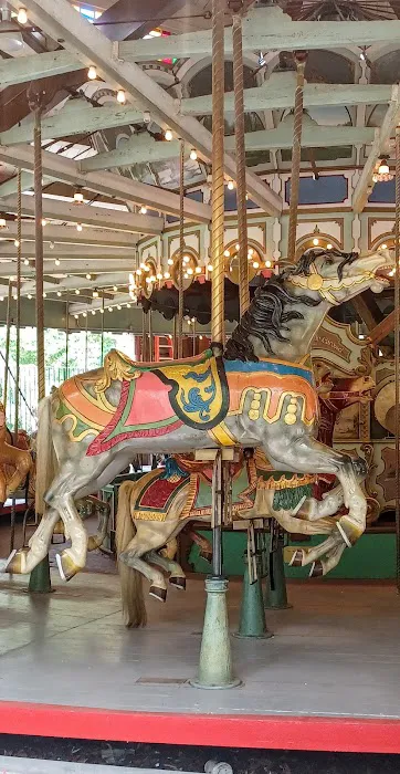 Prospect Park Carousel Picture 10