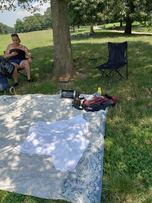 Bandshell Picnic Tables Picture 7