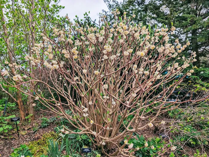 Discovery Garden Picture 3