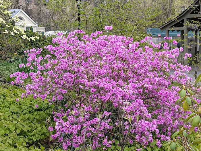 Discovery Garden Picture 1