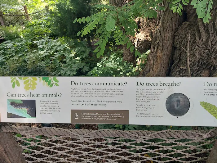 Discovery Garden Picture 7