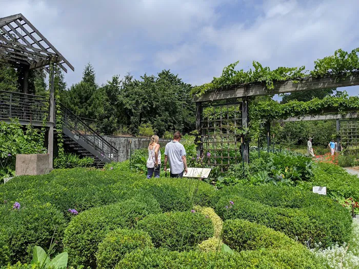 Herb Garden Picture 7