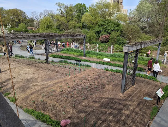 Herb Garden Picture 10