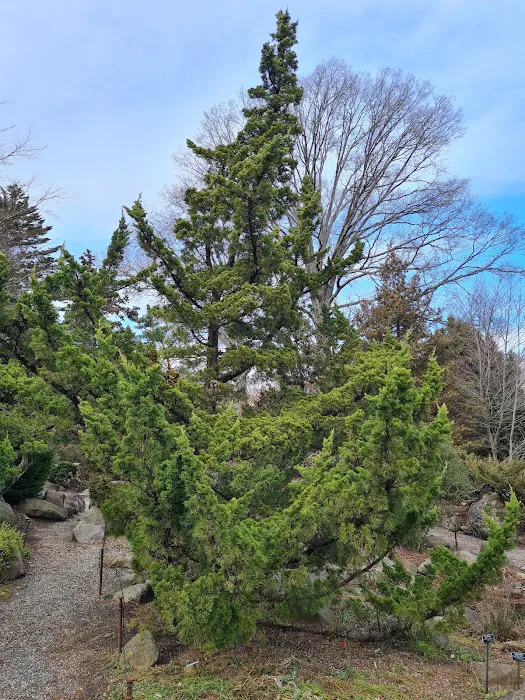Rock Garden Picture 5
