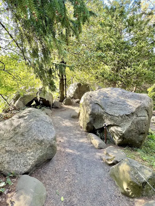 Rock Garden Picture 3