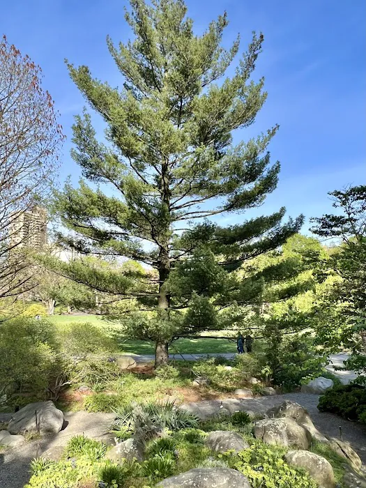 Rock Garden Picture 1