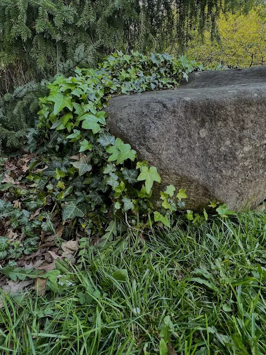 Rock Garden Picture 2