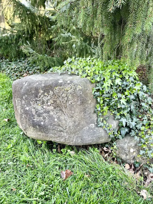Rock Garden Picture 10