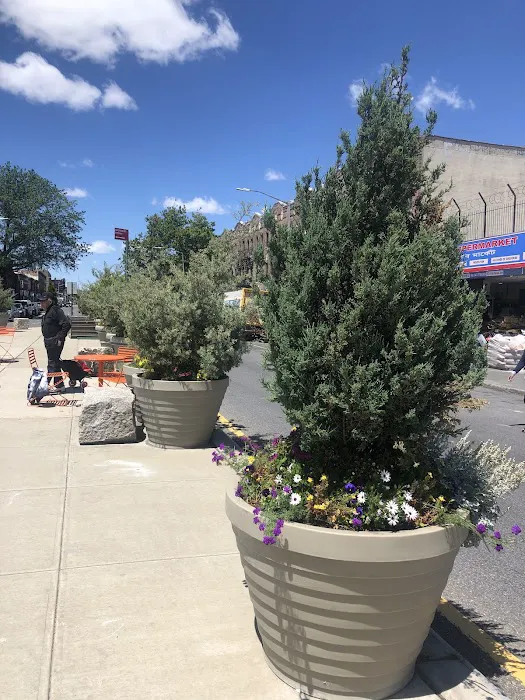 Avenue C Plaza Picture 1