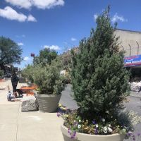 Avenue C Plaza ico