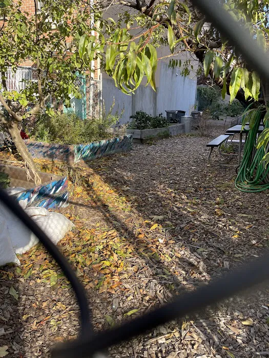 Her-King Alagantic Community Garden Picture 1
