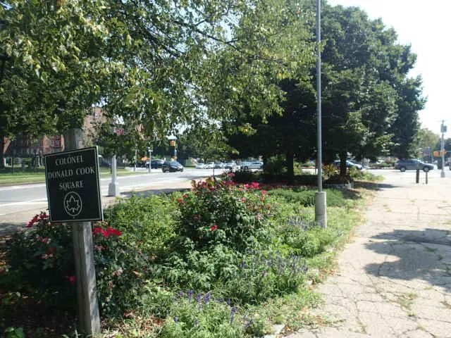 Colonel Donald Cook Square Picture 5