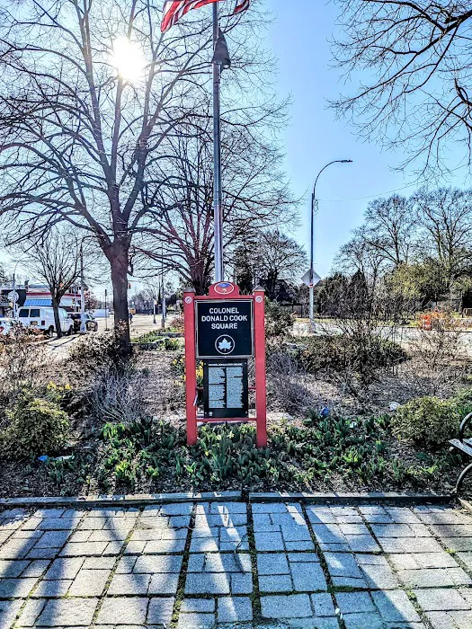 Colonel Donald Cook Square Picture 2