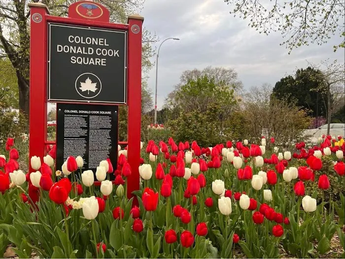 Colonel Donald Cook Square Picture 8