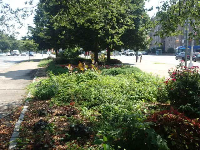 Colonel Donald Cook Square Picture 7