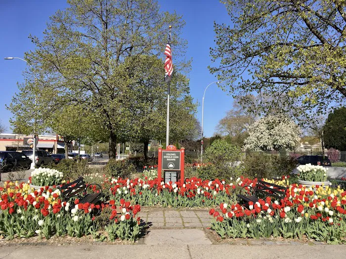 Colonel Donald Cook Square Picture 10