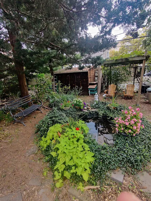 East 4th Street Community Garden Picture 5