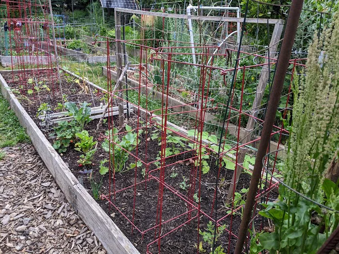East 4th Street Community Garden Picture 8