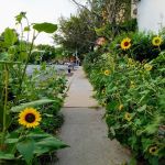 Timshell Rivers Garden