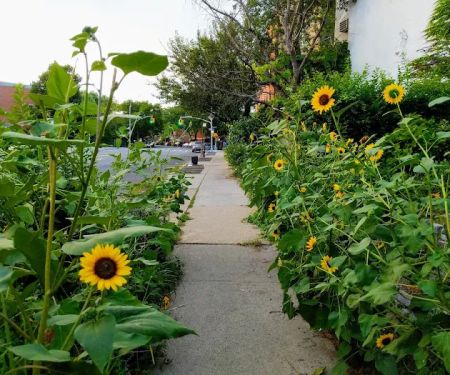 Timshell Rivers Garden
