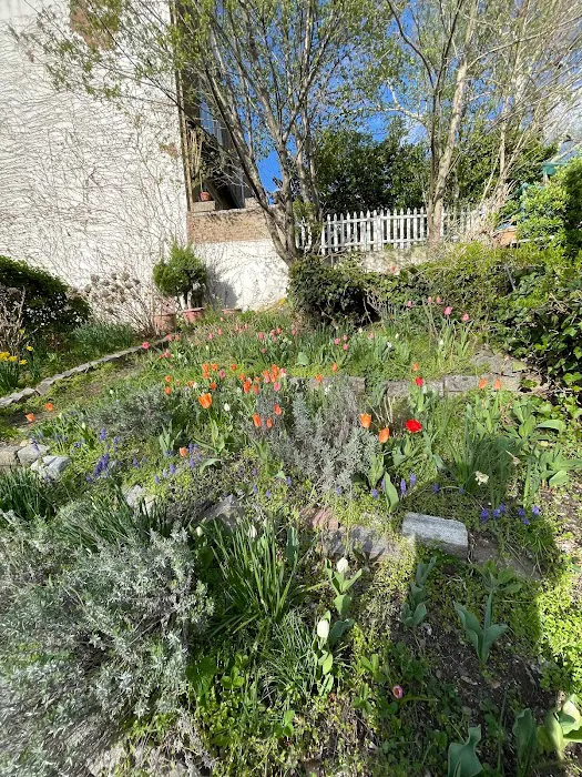 Timshell Rivers Garden Picture 3