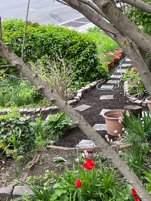 Timshell Rivers Garden Picture 4