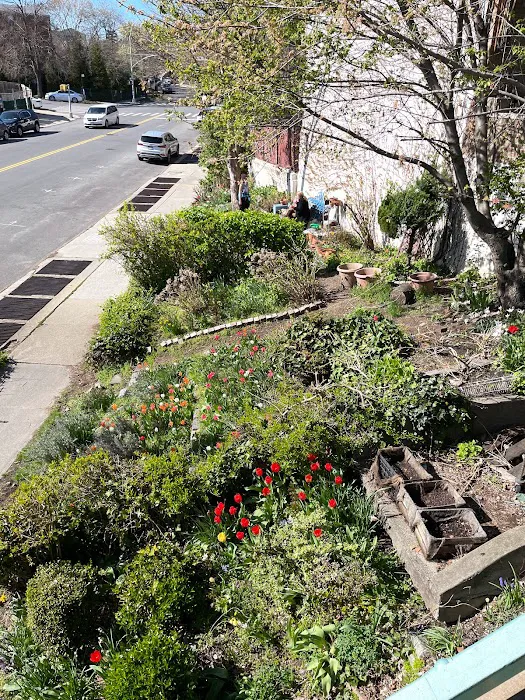 Timshell Rivers Garden Picture 7