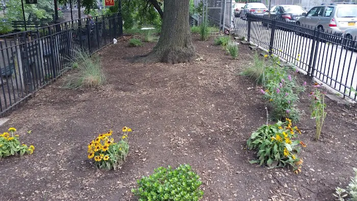 Marcy Green Center Picture 5