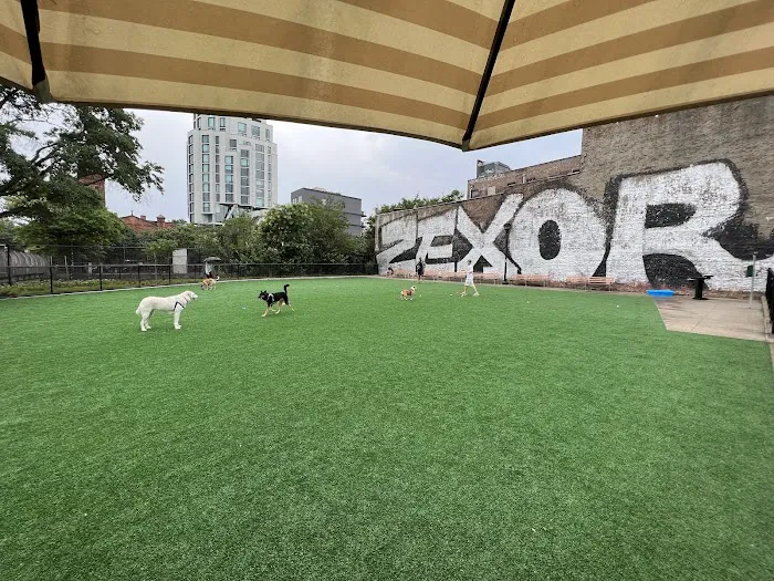 Marcy Green Dog Park Picture 2