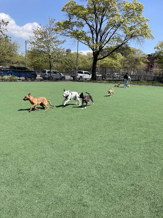 Marcy Green Dog Park Picture 3