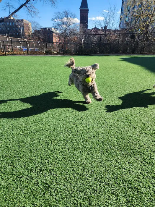 Marcy Green Dog Park Picture 1