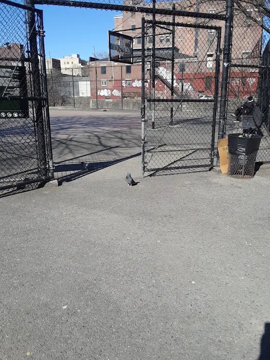 Rodney Park South Picture 9
