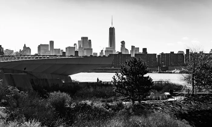 Hunter's Point Viewpoint Picture 5