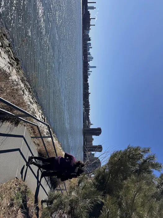 Hunter's Point Viewpoint Picture 10