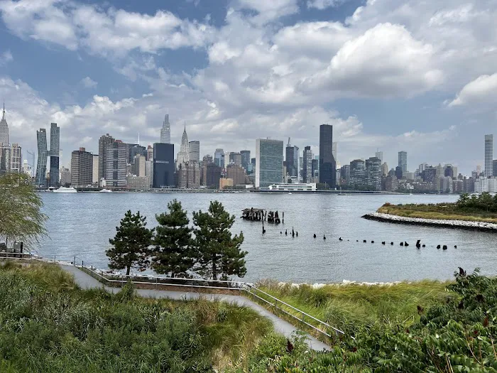 Hunter's Point South Park Picture 4