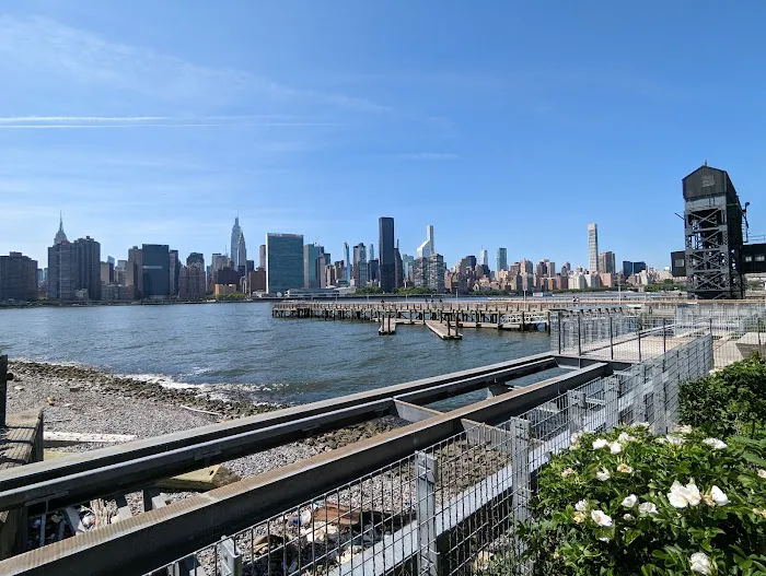 Hunter's Point South Park Picture 6